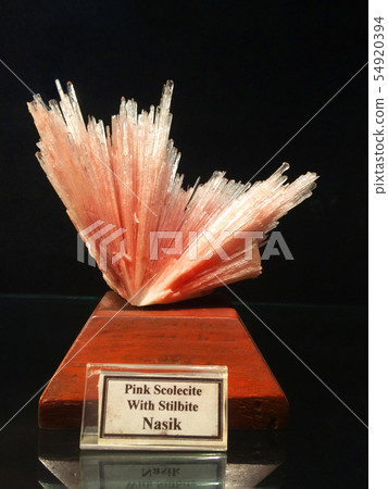 Pink Scolecite & Stilbite, Gargoti Museum, Sinner 54920394