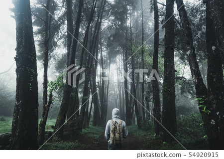 Forest Rain and fog On the Mountain Forest Rain and fog On the Mountain 54920915