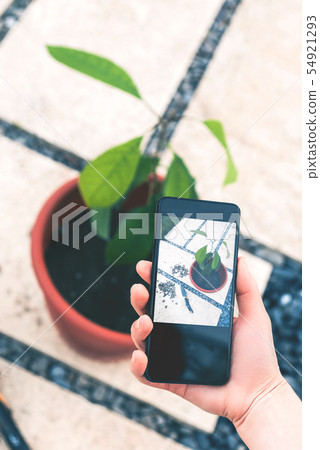 Woman makes photo of plant. Woman makes photo of plant. 54921293