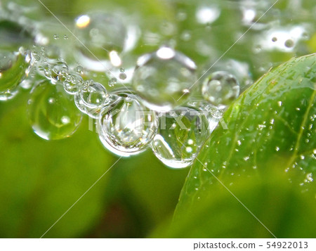 Pearl of the water drop 1 Pearl of the water drop 1 54922013