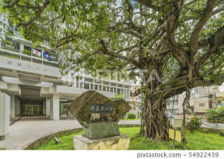 在沖繩縣那霸市的那霸市政廳前面站立的樹靈Kijimana 在沖繩縣那霸市的那霸市政廳前面站立的樹靈Kijimana 54922439
