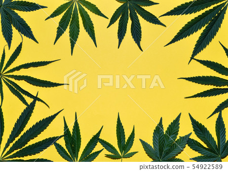 Hemp or cannabis leaves frame. Floral square frame 54922589