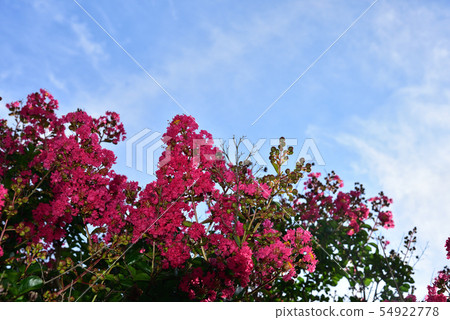 池田市政代碼和藍天 池田市政代碼和藍天 54922778