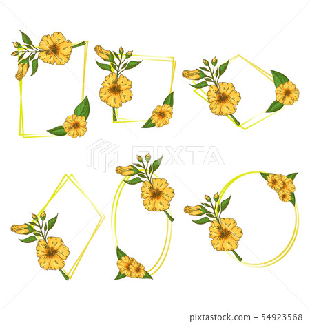 Hibiscus flowers frame set with leaves. Isolated on white background. 54923568