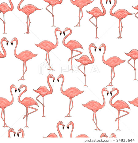 Cartoon pink flamingo seamless pattern on white background Cartoon pink flamingo seamless pattern on white background 54923644
