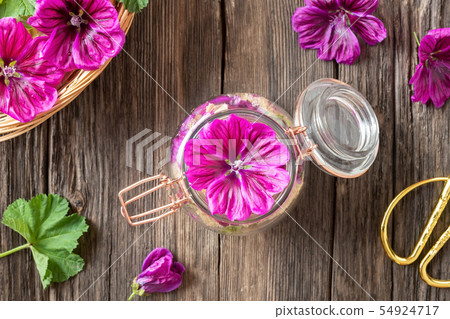 Preparation of mallow syrup from Malva mauritiana 54924717