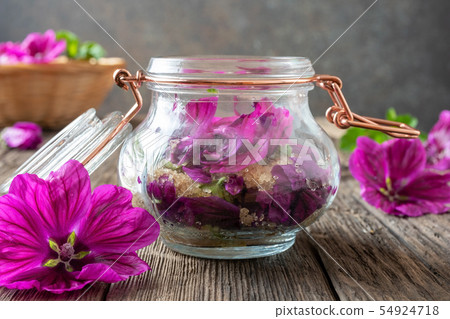 Preparation of mallow syrup from Malva mauritiana 54924718