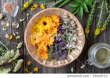 Fresh medicinal plants and essential oils 54924723