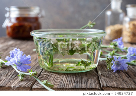 Preparation of tincture from common chicory Preparation of tincture from common chicory 54924727