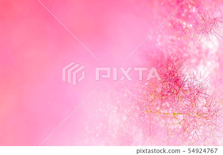 煙樹 煙樹 54924767