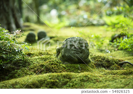 Early summer of the thousand Early summer of the thousand 54926325