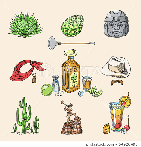 Tequila shot mexican alcohol in bottle drink with lime and salt in taqueria in Mexico illustration 54926495