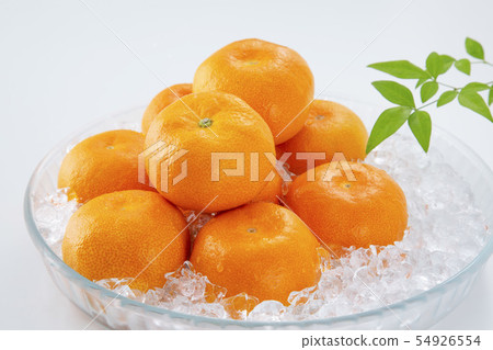Greenhouse Mikan House Mikan Greenhouse Mikan House Mikan 54926554