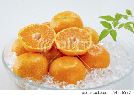 溫室邁肯之家邁肯 溫室邁肯之家邁肯 54926557