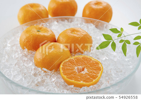 溫室邁肯之家邁肯 溫室邁肯之家邁肯 54926558