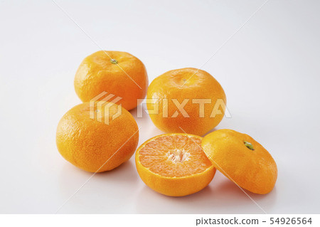 溫室邁肯之家邁肯 溫室邁肯之家邁肯 54926564