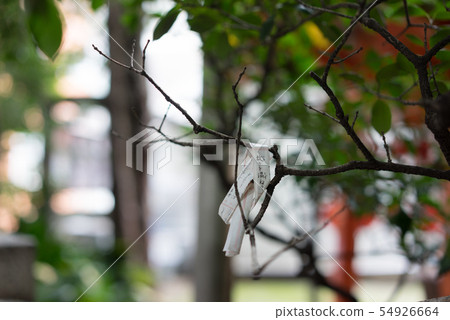 Tie the fork to the tree branch Tie the fork to the tree branch 54926664