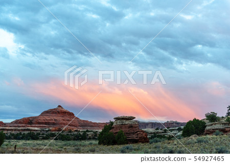 The Needles area of Canyonlands 54927465