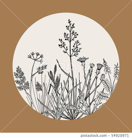 Floral background with hand drawn wild flowers, herbs and grasses Floral background with hand drawn wild flowers, herbs and grasses 54928971