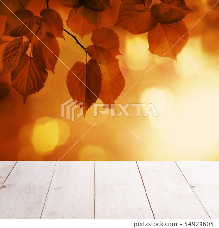 Autumn Background with Red Linden Leaves  54929605