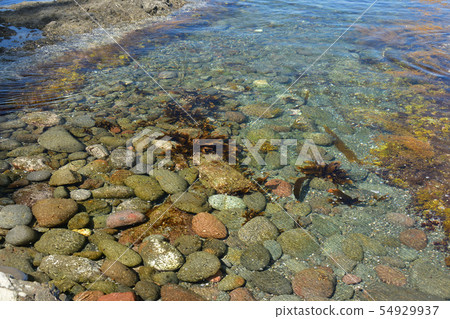 在北海道大成區的Nagare海灘拍攝藍色海洋和珊瑚礁的夏日風景 54929937