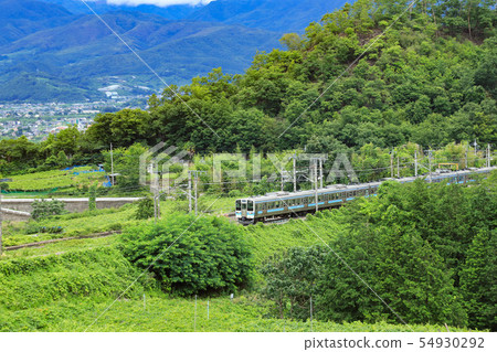 211系列勝沼葡萄園 54930292