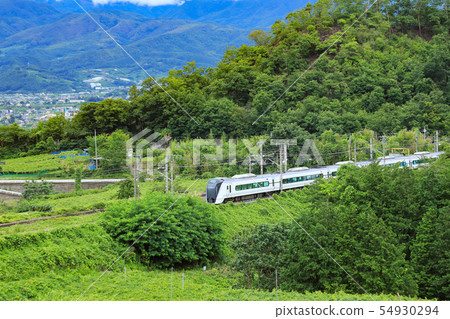 系列E 353 Katsunuma葡萄鎮葡萄園 54930294