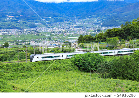 系列E 353 Katsunuma葡萄鎮葡萄園 54930296