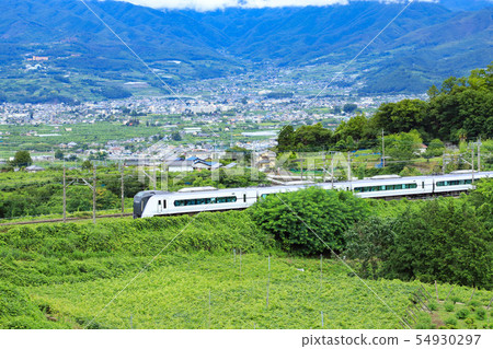 系列E 353 Katsunuma葡萄鎮葡萄園 54930297