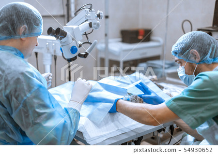 A professional ophthalmologist performs eye 54930652
