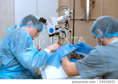 A professional ophthalmologist performs eye 54930655