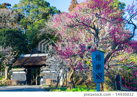air樂園前門小文亭Omomon入口(茨城縣水戶市)* 2019年3月 air樂園前門小文亭Omomon入口(茨城縣水戶市)* 2019年3月 54930832