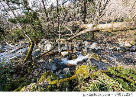 山間溪流 54931224