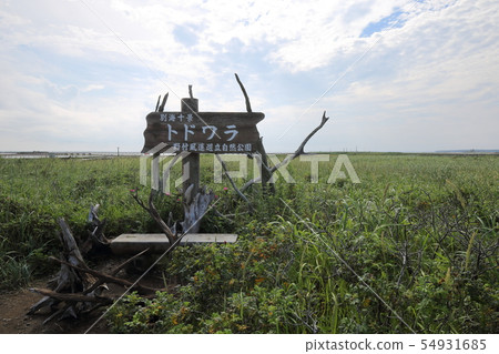 Hokkaido Betsukai Notsuke Peninsula Todwara 54931685