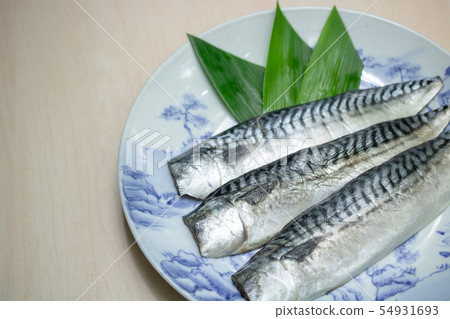 鮭魚的灰幹 鮭魚的灰幹 54931693