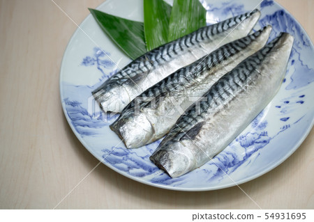 鮭魚的灰幹 鮭魚的灰幹 54931695