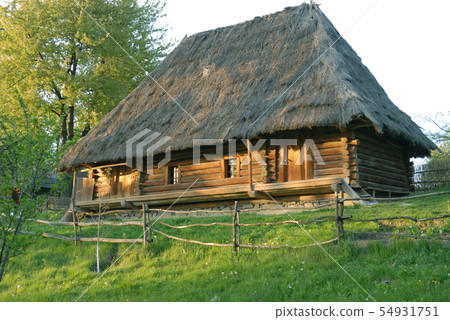 Wooden thatched-roof house 54931751
