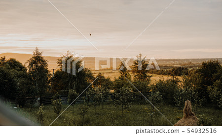 Beautiful summer landscape at sunset. Village in Ukraine Beautiful summer landscape at sunset. Village in Ukraine 54932516