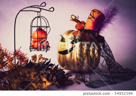 時尚的南瓜 54932594