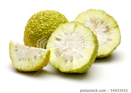 Fresh osage oranges or Maclura isolated 54933432