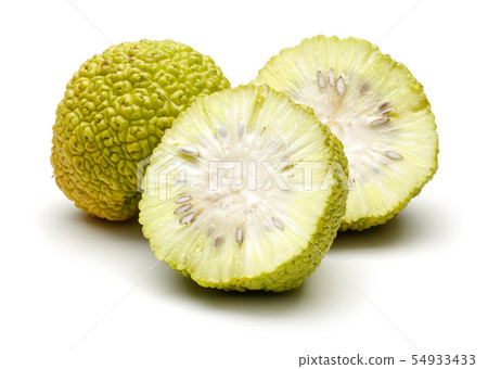 Fresh osage oranges or Maclura isolated 54933433