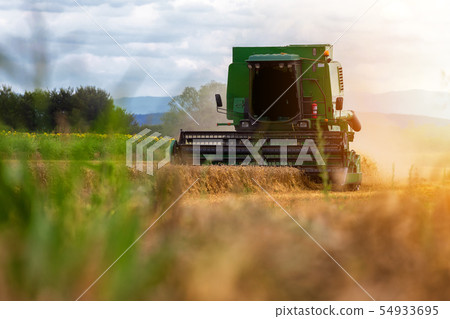 Combine harvester agriculture machine harvesting Combine harvester agriculture machine harvesting 54933695