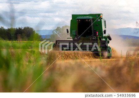 Combine harvester agriculture machine harvesting Combine harvester agriculture machine harvesting 54933696