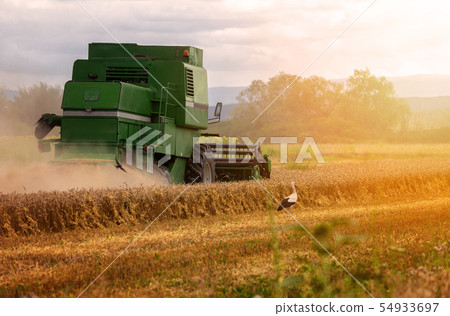 Combine harvester agriculture machine harvesting Combine harvester agriculture machine harvesting 54933697