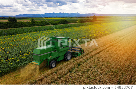 Combine harvester on a wheat field with blue sky, Combine harvester on a wheat field with blue sky, 54933707