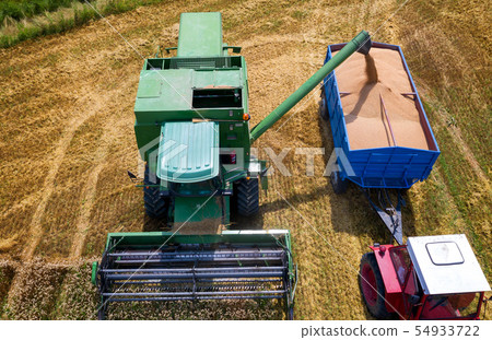 Collecting wheat from combine to tractor trailer, 54933722