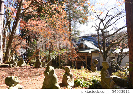 長安寺五百欒 54933911