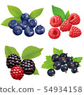 Berry 54934158