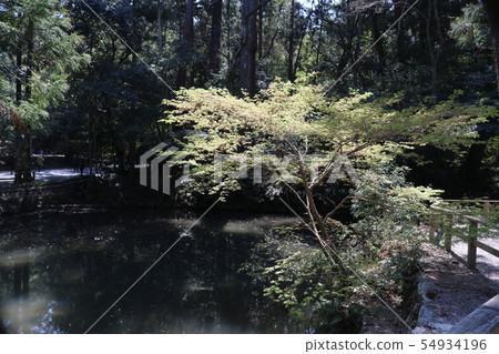 Entrance of the Gai 54934196