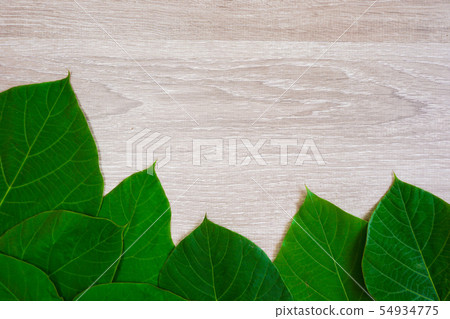 Background material of plant leaf and grain Background material of plant leaf and grain 54934775